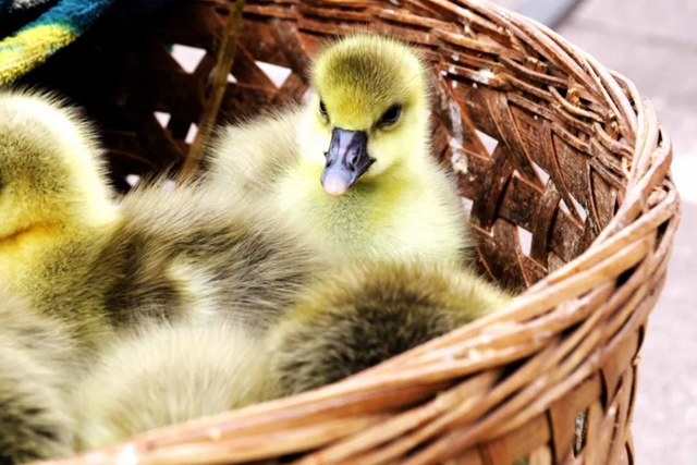 有一种逛街：赶场，你好久没去了？！(图18)