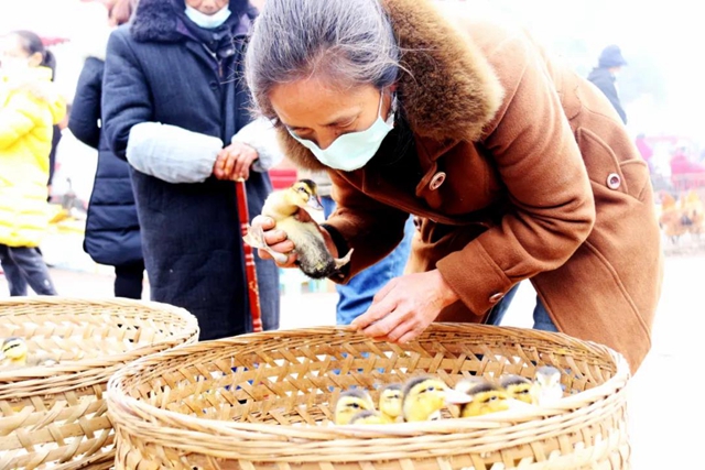 有一种逛街：赶场，你好久没去了？！(图17)