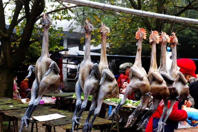 有一种逛街：赶场，你好久没去了？！(图19)