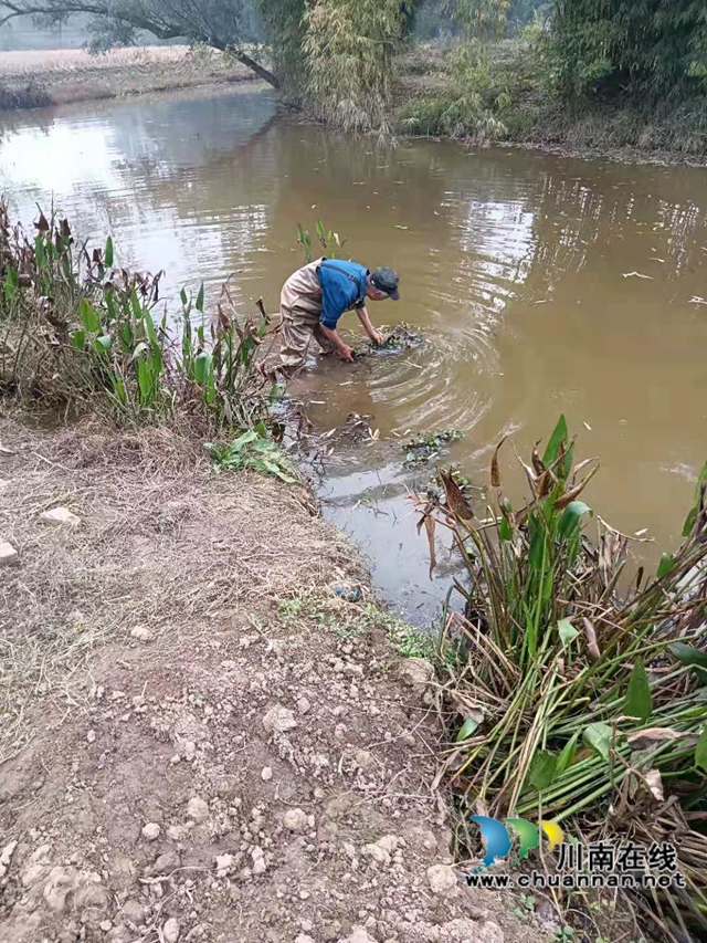泸县云龙镇：清理河道卫生，共享美丽河流