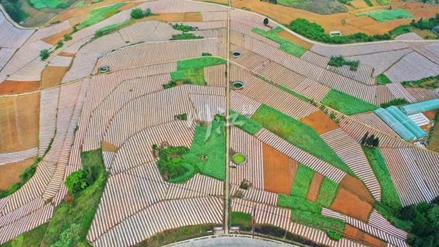 四川高标准农田整区域推进示范单位出炉！泸州这些区县上榜(图4)