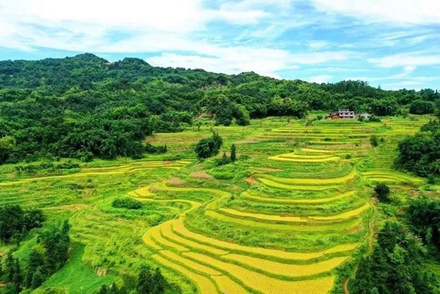 四川高标准农田整区域推进示范单位出炉！泸州这些区县上榜(图2)