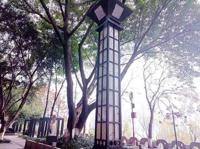 泸州滨江路庭院灯恢复重建项目动工了！(图1)