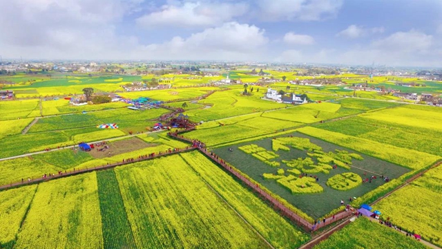 四川实现面积单产总产“三增”！泸州市农业农村局拟获全国粮食生产先进集体表彰