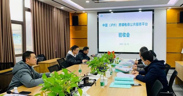 泸州跨境电商公服平台通过验收！