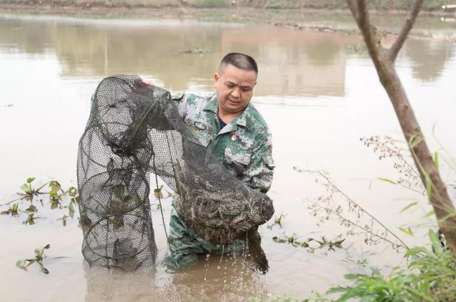 15亩，龙马潭的红膏蟹上市咯！(图3)