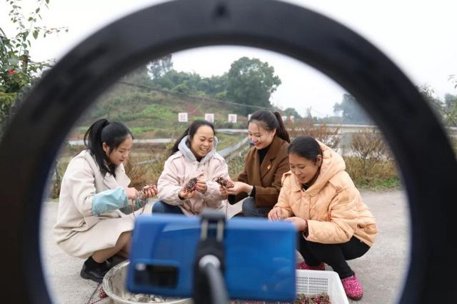 15亩，龙马潭的红膏蟹上市咯！(图4)