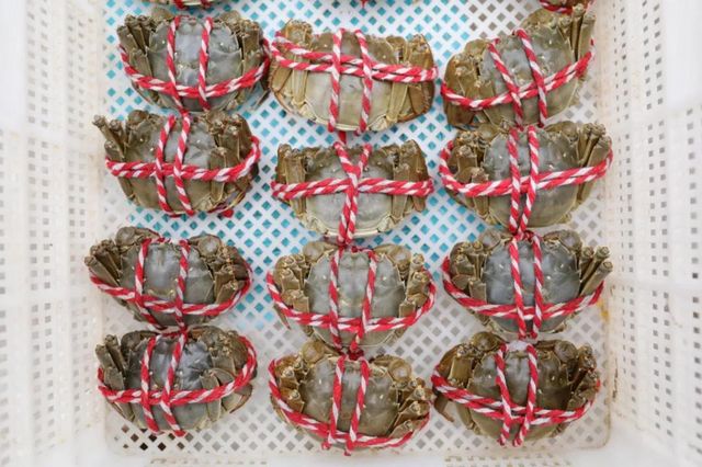 15亩，龙马潭的红膏蟹上市咯！(图7)