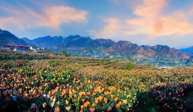 四川5地上榜全国农业现代化示范区，来看看有你家乡吗？(图2)