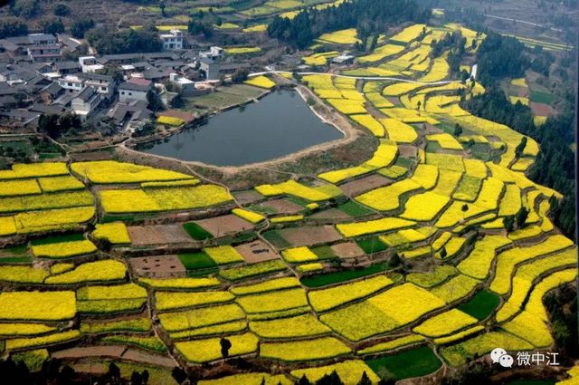 四川5地上榜全国农业现代化示范区，来看看有你家乡吗？(图4)