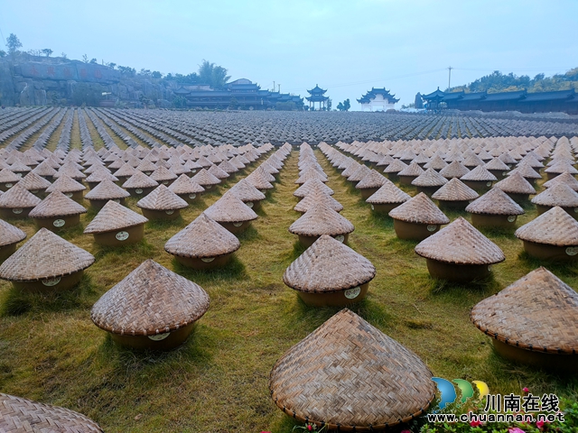 即将过去的一年,泸州这群“新”人做了些什么?(图5) 即将过去的一年,泸州这群“新”人做了些什么?(图5)