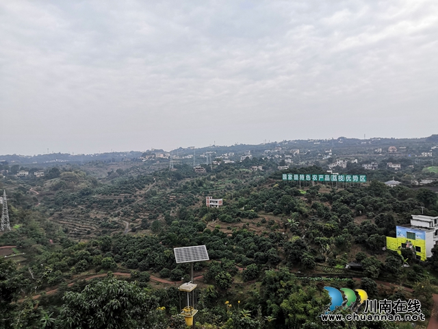 即将过去的一年,泸州这群“新”人做了些什么?(图8) 即将过去的一年,泸州这群“新”人做了些什么?(图8)