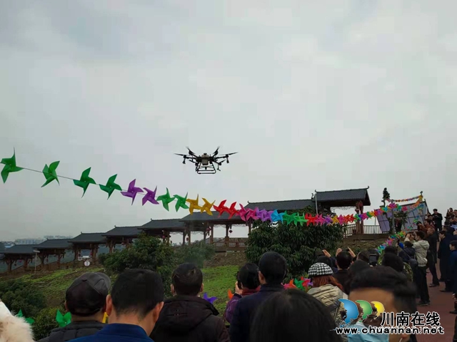 即将过去的一年,泸州这群“新”人做了些什么?(图11) 即将过去的一年,泸州这群“新”人做了些什么?(图11)