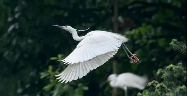 叙永：争渡，争渡，惊起一滩鸥鹭(图4)