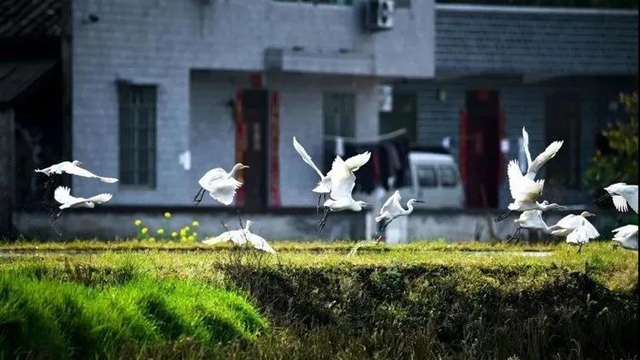 叙永：争渡，争渡，惊起一滩鸥鹭(图5)