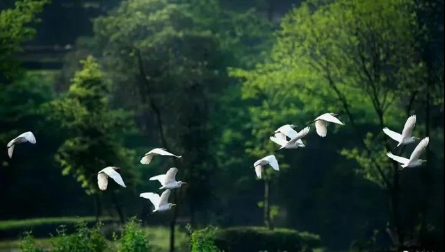 叙永：争渡，争渡，惊起一滩鸥鹭(图10)