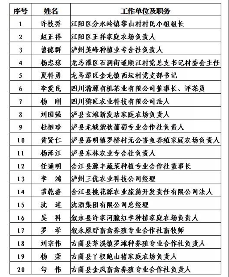 泸州市2021年度“酒城英才”创新团队和拔尖、领军人才拟入选名单出炉(图5) 泸州市2021年度“酒城英才”创新团队和拔尖、领军人才拟入选名单出炉(图5)