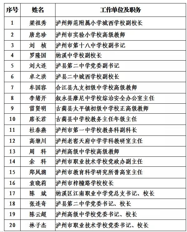 泸州市2021年度“酒城英才”创新团队和拔尖、领军人才拟入选名单出炉(图8) 泸州市2021年度“酒城英才”创新团队和拔尖、领军人才拟入选名单出炉(图8)