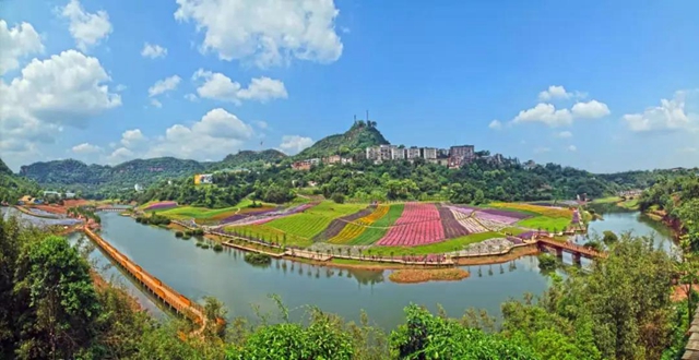 污水沟旁种出500亩花海，泸州纳溪打造“中国最美小流域”示范样板(图3)