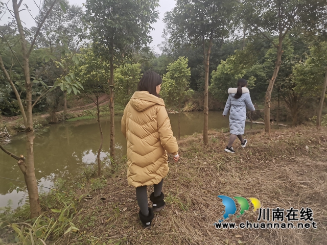 泸县云龙镇：开展常态巡河护河，破解河道治理难题