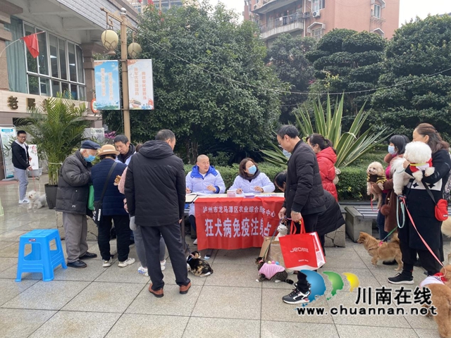 龙马潭区红星街道天立社区：开展狂犬疫苗接种注射工作