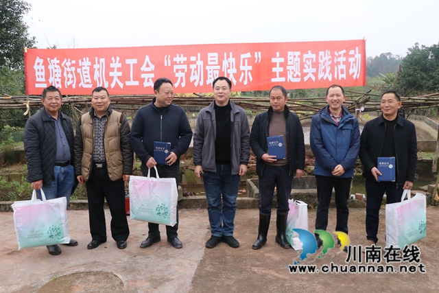 龙马潭区鱼塘街道：人生百态，劳动最美