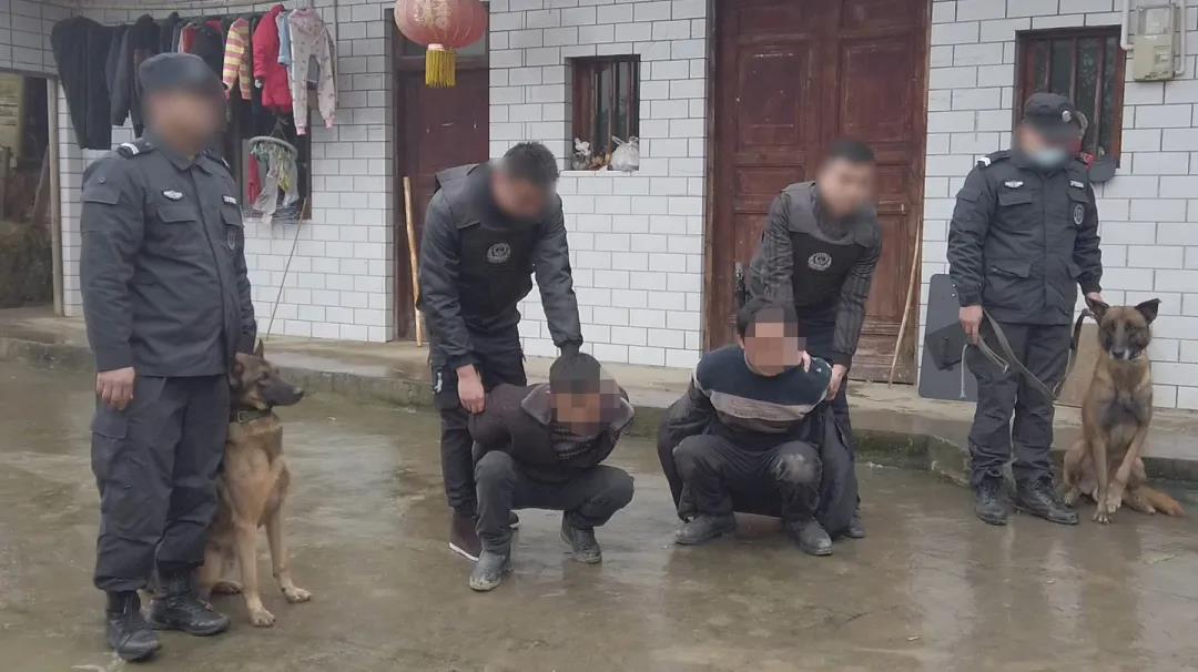 叙永深山躲藏五年遥控贩毒,没跑脱 !(图4) 叙永深山躲藏五年遥控贩毒,没跑脱 !(图4)