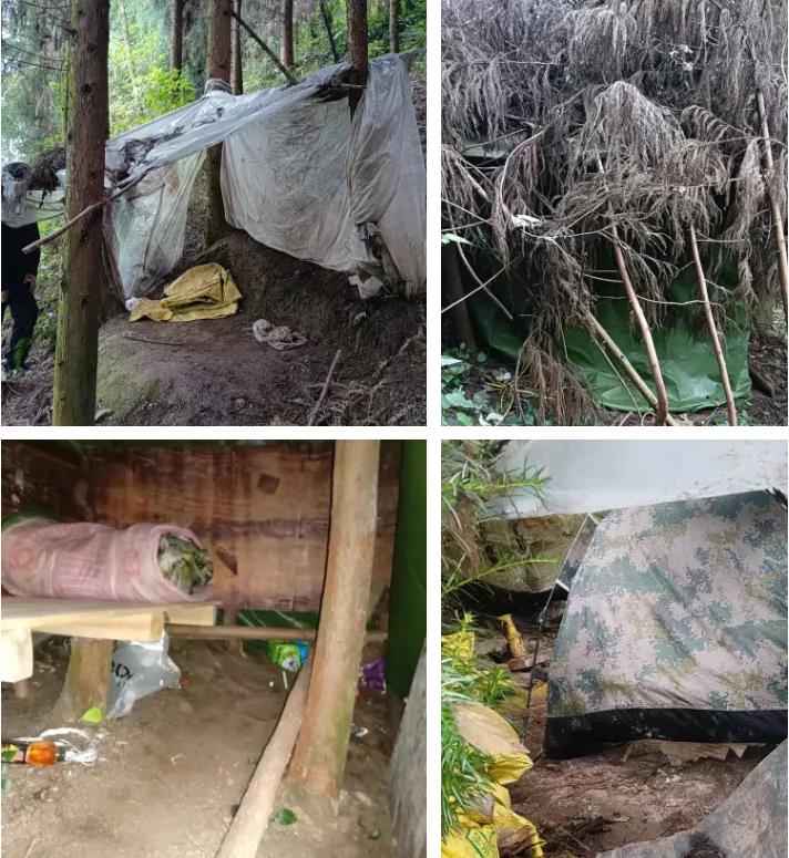 叙永深山躲藏五年遥控贩毒,没跑脱 !(图3) 叙永深山躲藏五年遥控贩毒,没跑脱 !(图3)