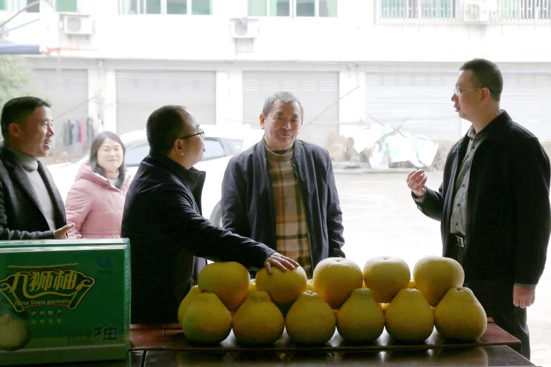 泸州“九狮柚”获30万元质量品牌奖励资金(图2)