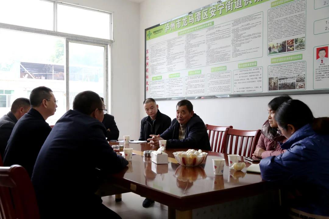 泸州“九狮柚”获30万元质量品牌奖励资金(图4)