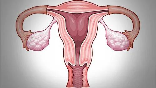 【关注】年轻夫妻3年未孕！检查前1天出啥事了？(图5)