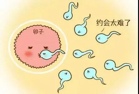 【关注】年轻夫妻3年未孕！检查前1天出啥事了？(图6)