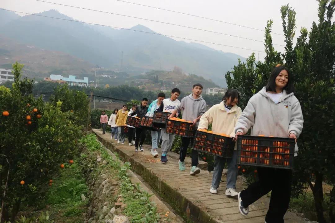 暖冬时节，这所学校师生邀您齐享良“橙”美景(图5)