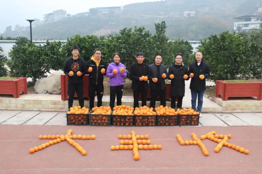 暖冬时节，这所学校师生邀您齐享良“橙”美景(图6)