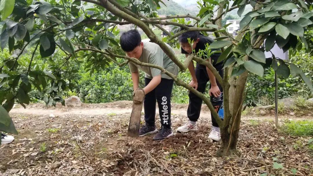 暖冬时节，这所学校师生邀您齐享良“橙”美景(图14)