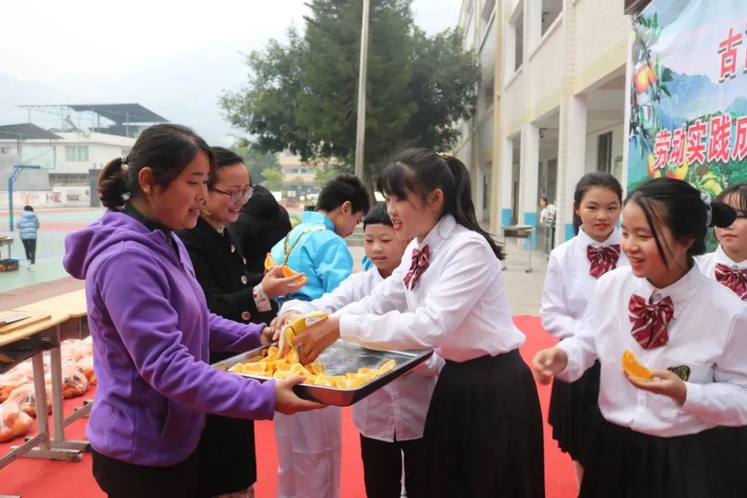 暖冬时节，这所学校师生邀您齐享良“橙”美景(图13)