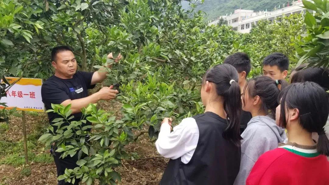 暖冬时节，这所学校师生邀您齐享良“橙”美景(图16)