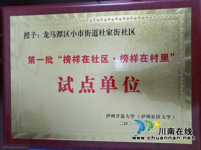 龙马潭区小市街道杜家街社区荣获2019-2020市级年度优秀社区学习中心