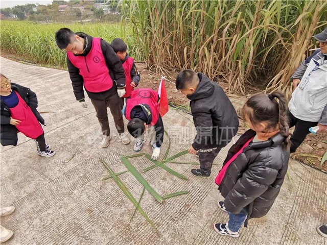 真甜！50名内江学生甘蔗地里寻“甜味儿”(图6)