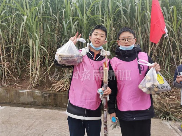 真甜！50名内江学生甘蔗地里寻“甜味儿”(图8)