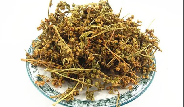 泸州组团参加迪拜世博会“四川活动日”，这些企业亮相！