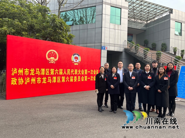 民盟泸州市龙马潭区基层委员会：建言献策为民生，政协会议展风采