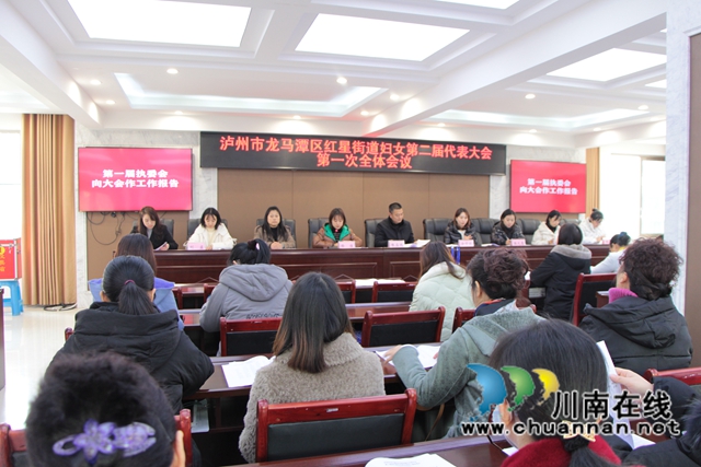 龙马潭区红星街道召开妇女第二届代表大会