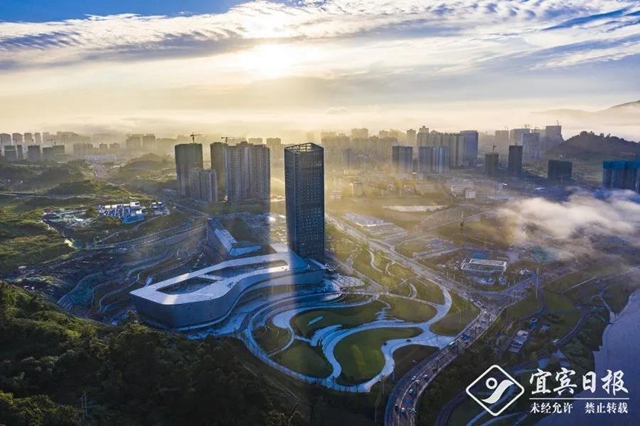 2020年度宜宾市百强民营企业榜单发布！(图2)