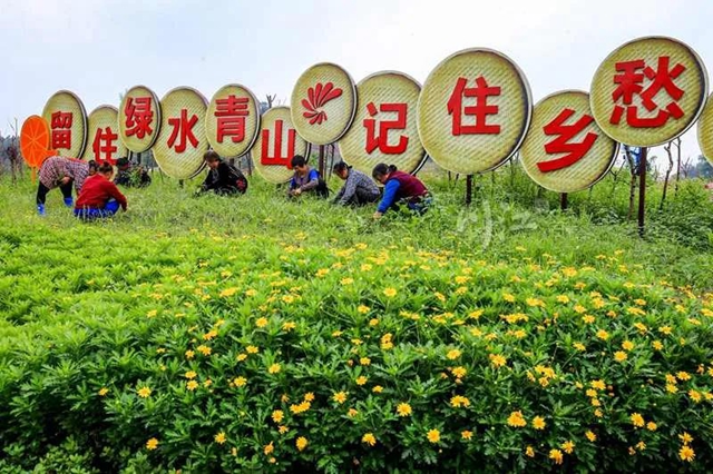 全省首批省级乡村文化振兴样板村镇揭晓，泸州一镇两村上榜(图2)