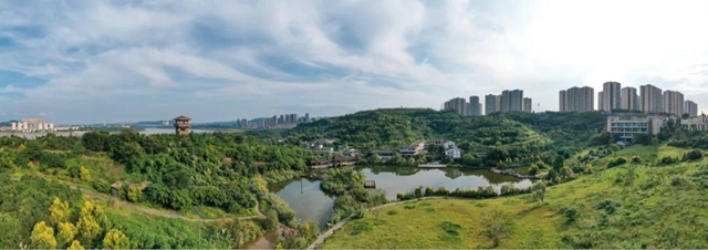 张坝桂圆林景区成为泸州首家省级中医药健康旅游示范基地(图5)