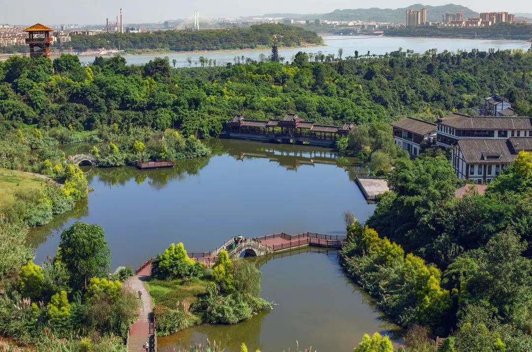 泸州张坝桂圆林景区认定为中医药健康旅游示范基地(图2)