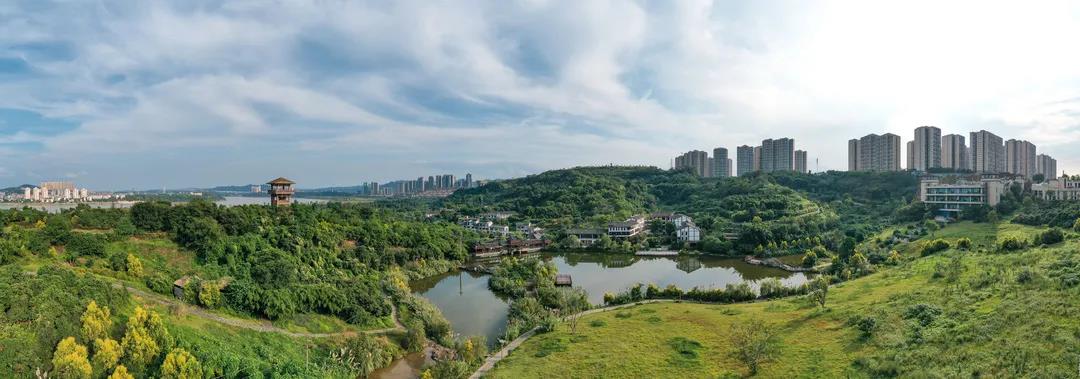 泸州张坝桂圆林景区认定为中医药健康旅游示范基地(图3)