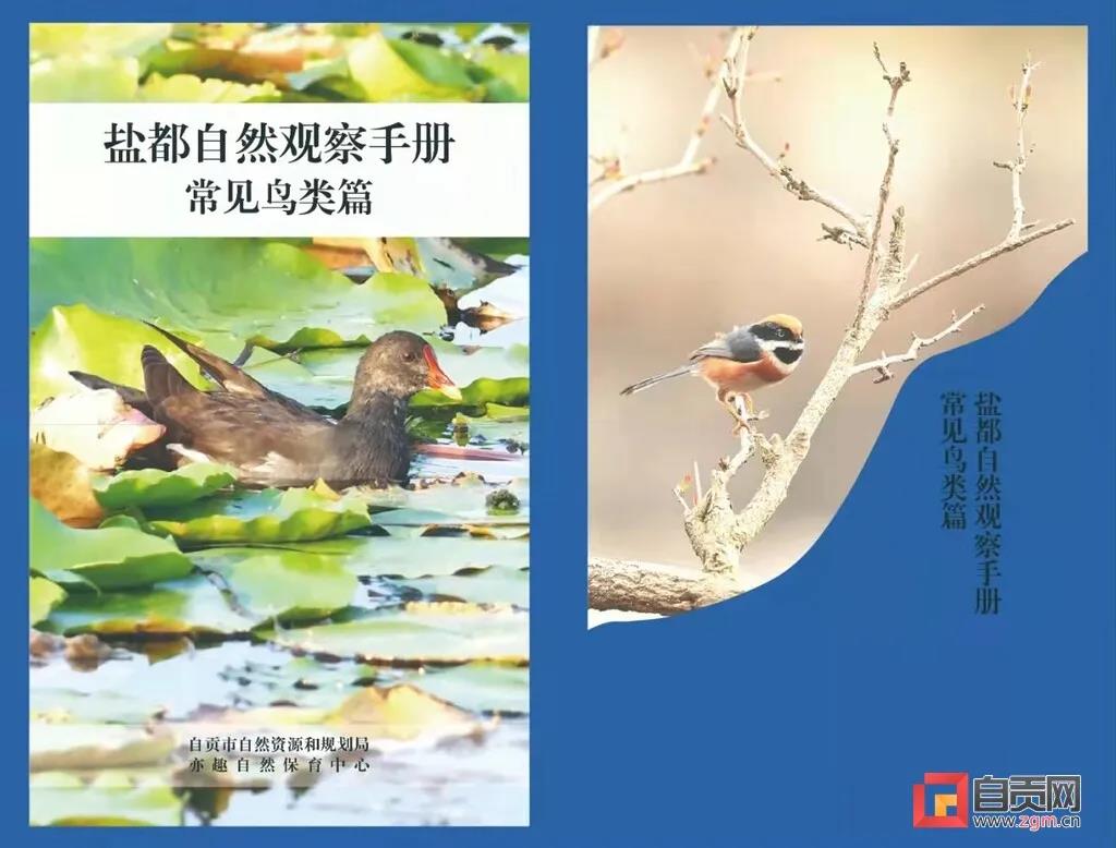 一起涨知识！自贡市第一本常见野生动物科普宣传手册正式推出(图2)