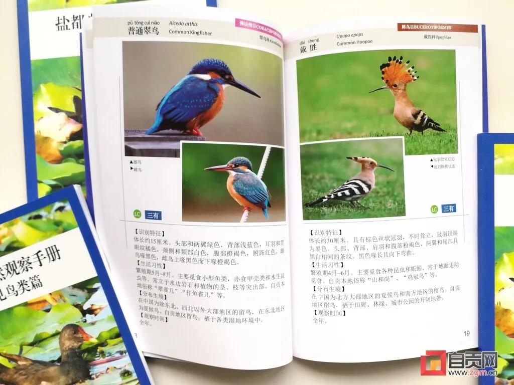 一起涨知识！自贡市第一本常见野生动物科普宣传手册正式推出(图3)